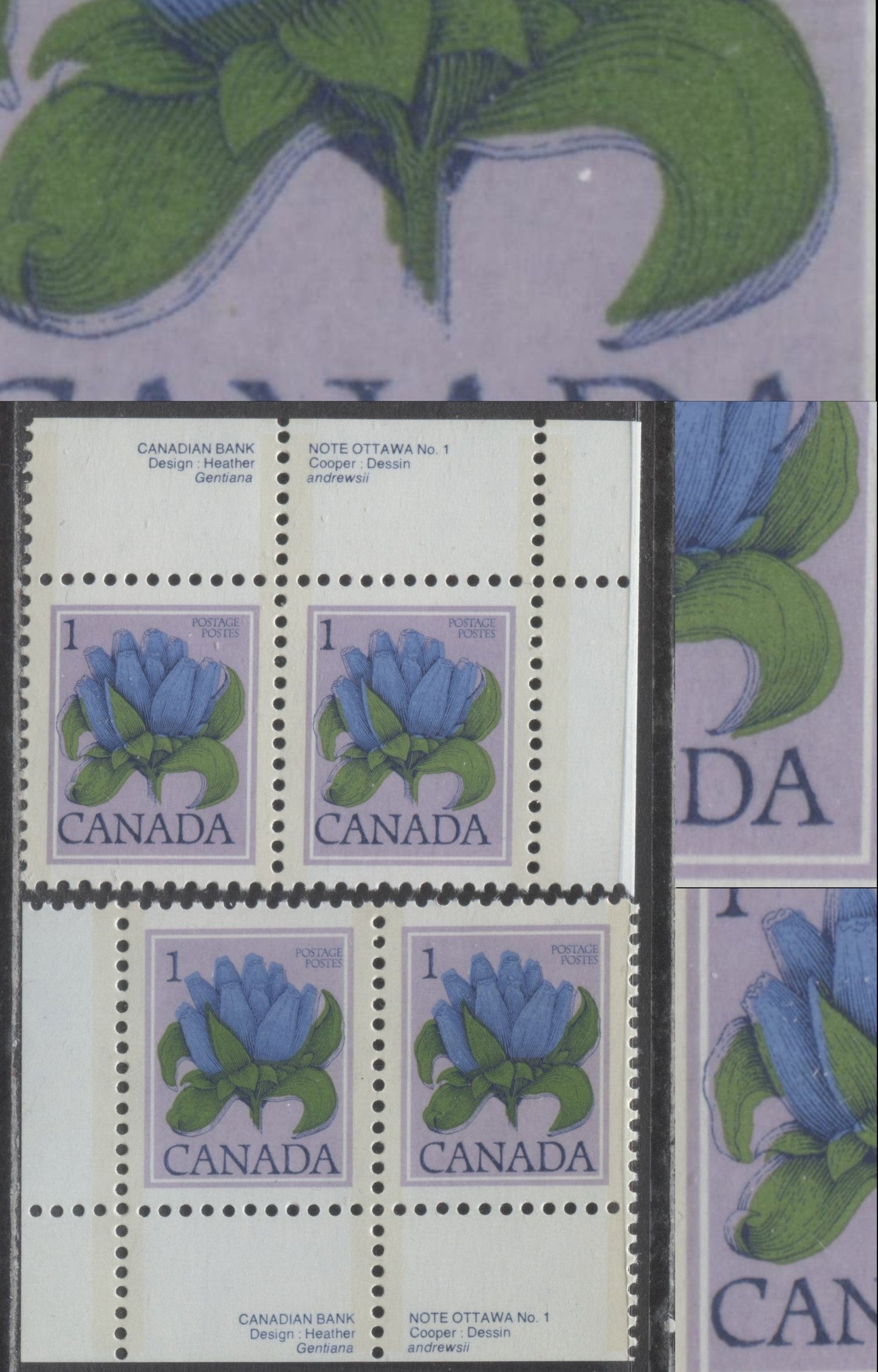 Lot 103 Canada #705var 1c Multicoloured Bottle Gentian, 1977-1982 Floral & Environment Issue, 2 VFNH Plate 1 Pairs On DF1/DF1 Vertically Ribbed Paper, Showing Leftward and Downward Shifts of Dark Violet Engraving, Light Tagging, Eggshell PVA Gum