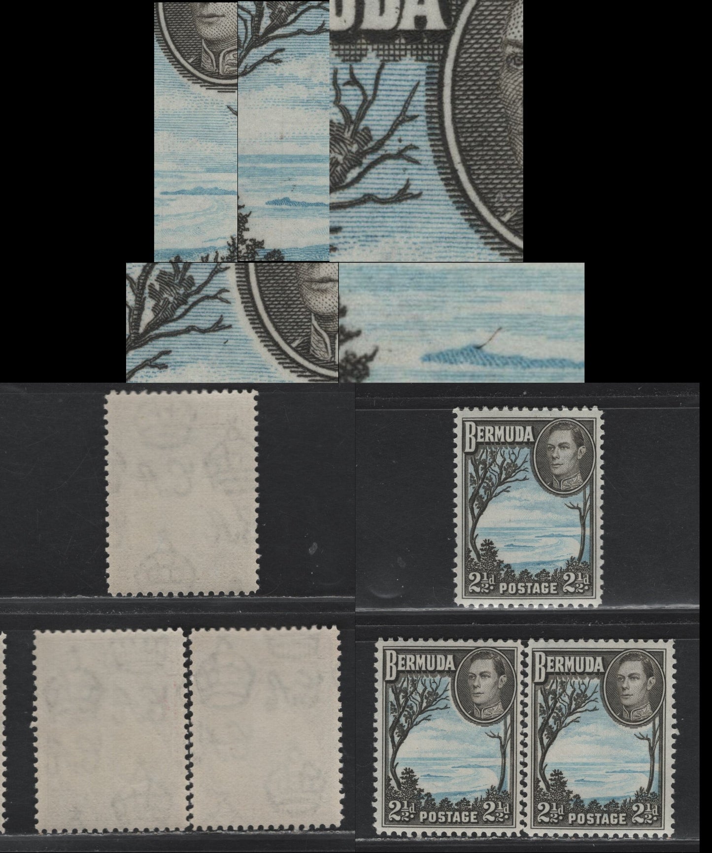 Lot 242 Bermuda SG#113b 2.5d Pale Blue & Olive Black - Pale Blue & Deep Olive Sepia , 1936-1952 KGVI Pictorial Issue, 3 VFNH Singles, 1945-46 Line Perf Printings, Translucent Paper With Clear Wmk, Showing Potentially Constant Plate Varieties.