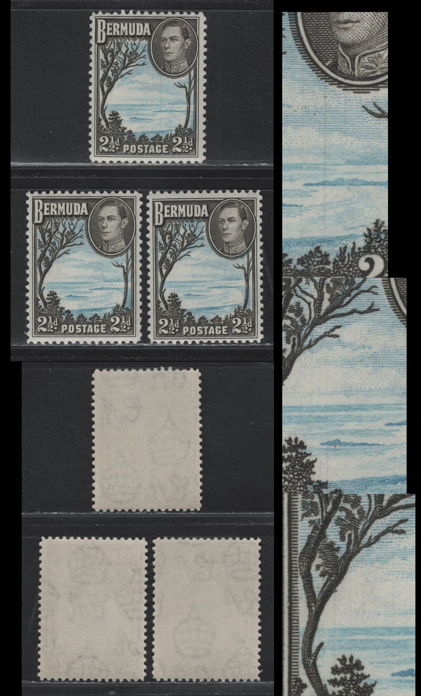 Lot 243 Bermuda SG#113b 2.5d Pale Blue & Deep Olive Sepia , 1936-1952 KGVI Pictorial Issue, 3 F/VFNH Singles, 1945-46 Line Perf Printings, Translucent Paper With Clear Wmk, Showing Different Vertical Hairlines.