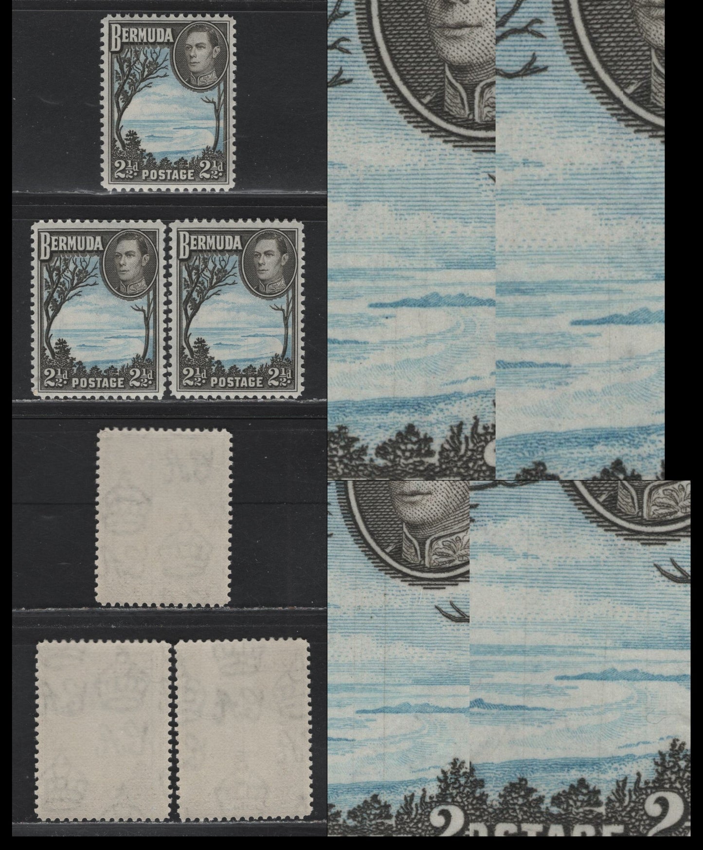 Lot 244 Bermuda SG#113b 2.5d Pale Blue & Olive Black , 1936-1952 KGVI Pictorial Issue, 3 VFNH Singles, 1945-46 Line Perf Printings, Translucent Paper With Clear Wmk, Showing Fine Vertical Hairlines.