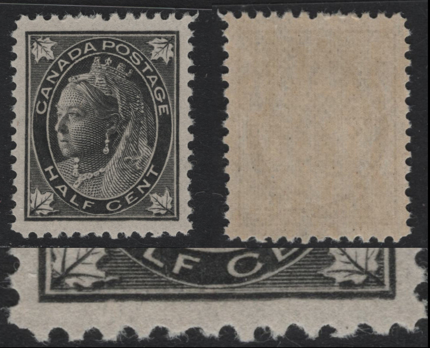 Lot 3 Canada (C) #66var 1/2c Black , 1897-1898 Maple Leaf Issue, A VFNH Single, ABN-A Paper, Showing Re-Entry In The Form Of Doubling Of the Bottom Horizontal Shading Line, Perf 12.