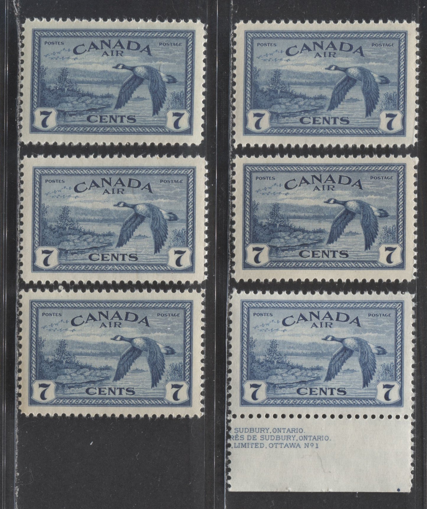 Lot 89 Canada #C9 7c Deep Blue Canada Goose, 1946 Air Mail Stamps - War Issue, 6 VFNH Singles Showing Different Shade, Paper And Gum Combinations