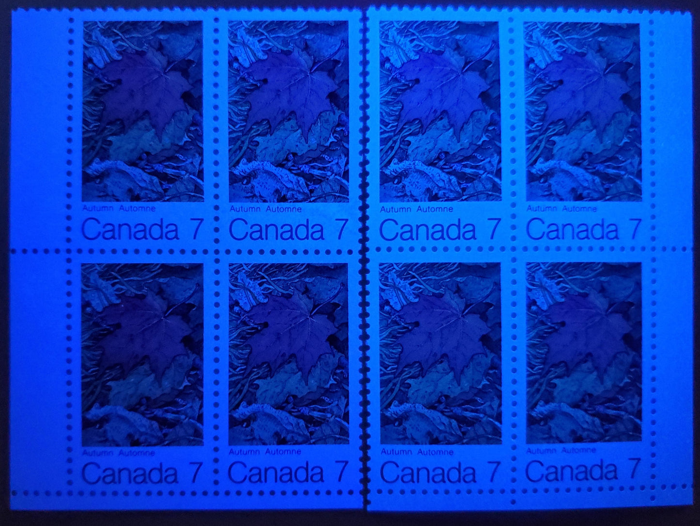 Lot 22 Canada #537ii 6c Multicolored Autumn, 1971 Maple Leaves, A VFNH Single On HB12/HB10 Horizontal Wove Paper