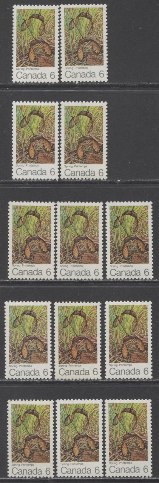 Canada #535 6c Multicolored Spring, 1971 Maple Leaves, 13 VFNH Singles On Different HB/HF, HF/HF, HF/MF, HB/HB, HF/HB & MF/HB Horizontal Ribbed Papers