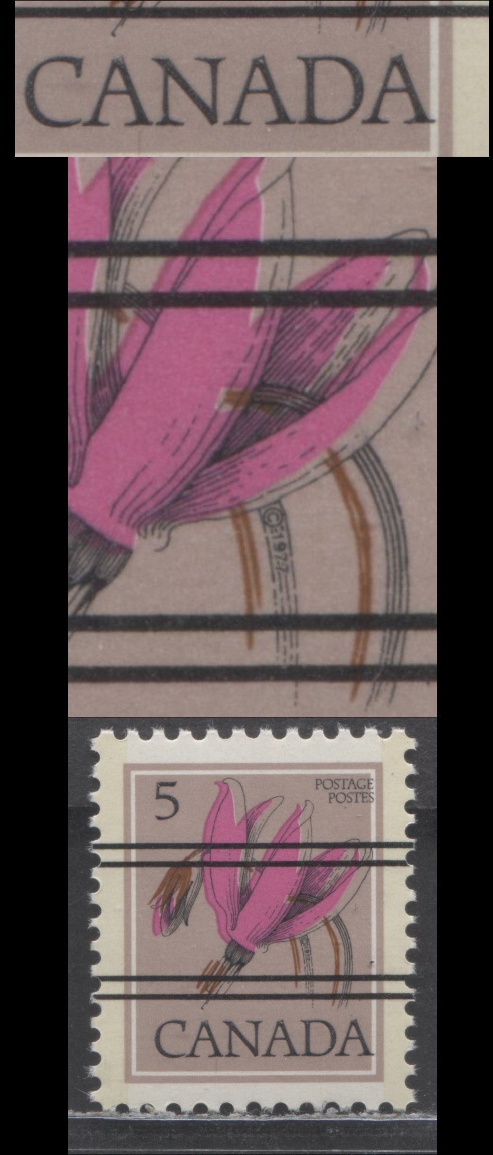 Canada #710xx var 5c Multicoloured Shooting Star, 1977-1982 Floral Definitive Issue, Double Print Of Canada, Once Albino & Doubling Of Flower Stems Due To Dramatic Rightward Shift Of Black