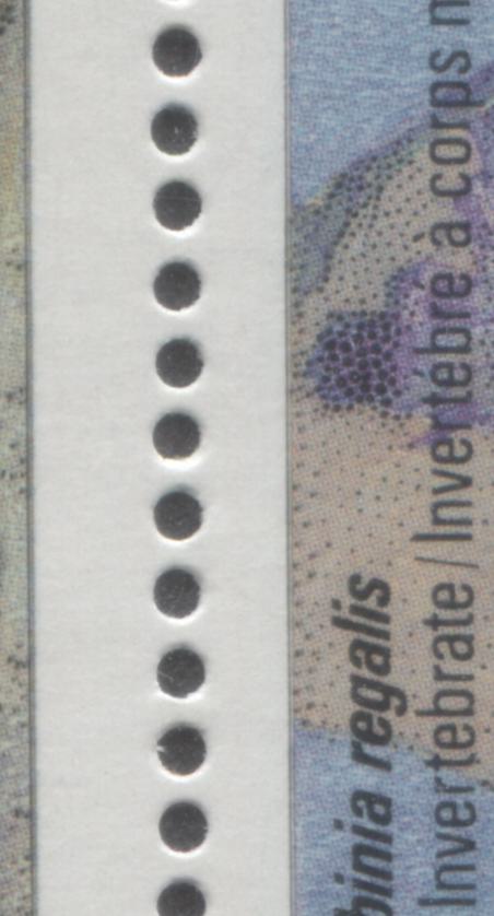 Canada #1282avar 39c Multicoloured Various Fossils, 1990 Prehistoric Life Issue, A VFNH Block of  4 DF2 Harrison Paper Showing Doubling Of Outer Framelines Due To Rightward Shift Of Lithography
