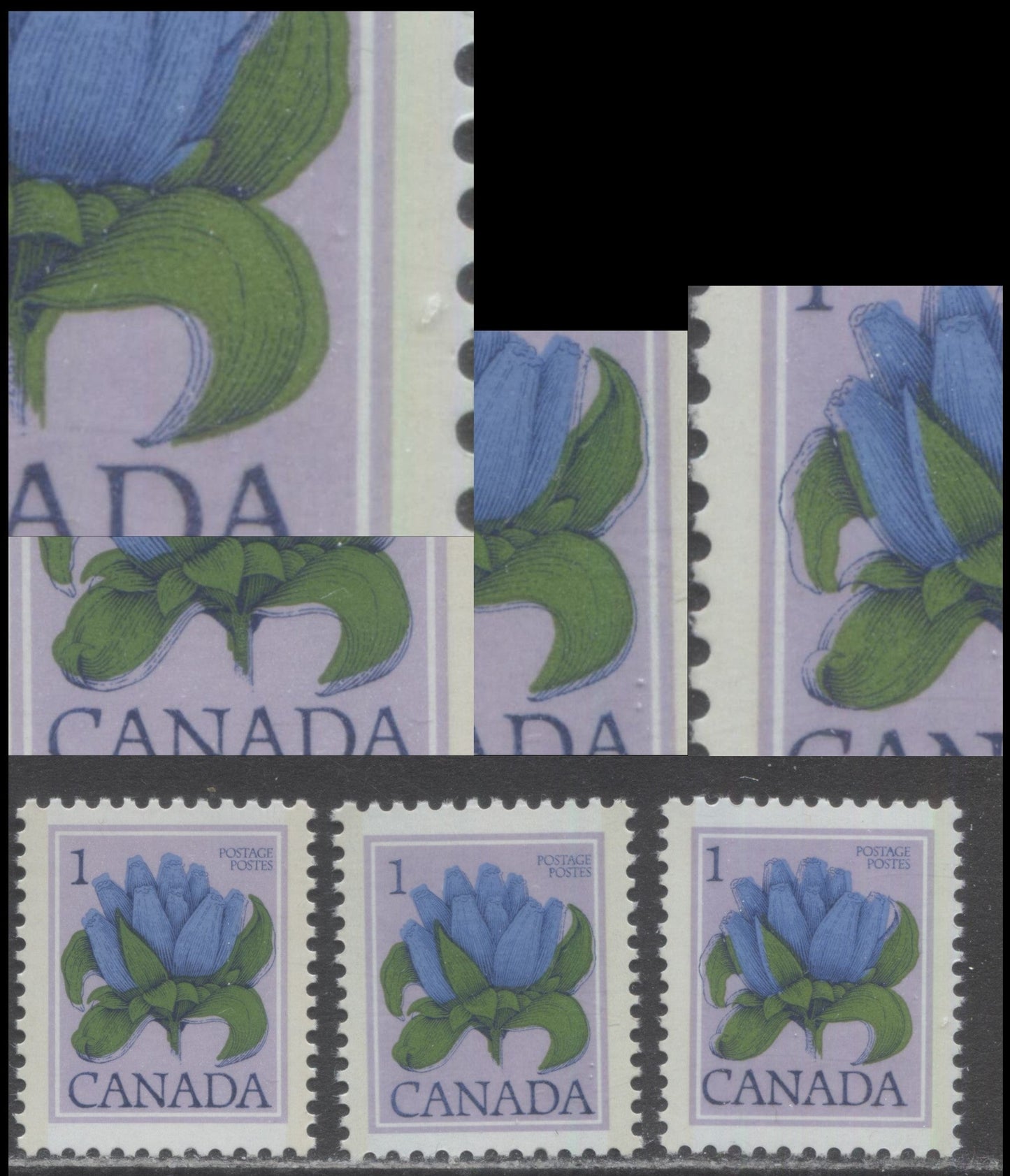 Canada #705var 1c Multicoloured Bottle Gentian, 1977-1982 Floral & Environment Issue, 3 VFNH Singles On DF1/DF1 Vertically Ribbed Paper, Showing Leftward, Rightward and Downward Shifts of Dark Violet Engraving, Light Tagging, Eggshell PVA Gum