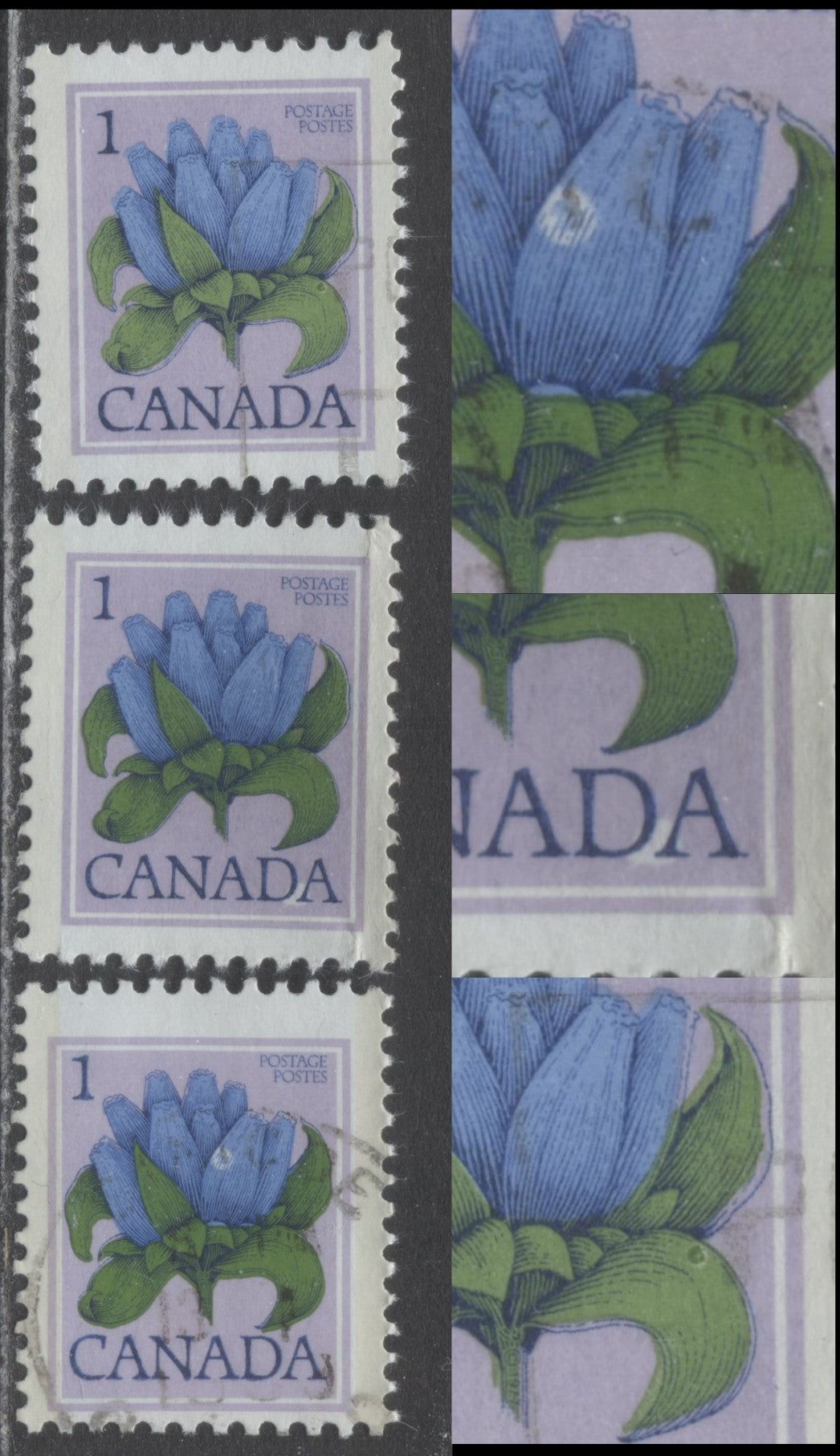 Canada #705var 1c Multicoloured Bottle Gentian, 1977-1982 Floral & Environment Issue, 3 Fine & VF Used Singles CBN Printing On DF1/DF1 Paper, Showing Green Spot On Leaf, White Spot Between DA Of Canada & White Spot On Blue Bottle Varieties