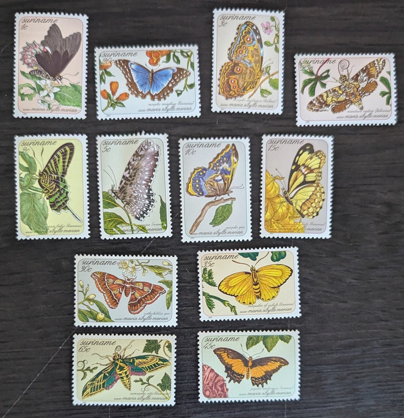 Surinam SC#643-654 1983 Local Butterflies Issue, 12 VFNH Singles, Click on Listing to See ALL Pictures, 2017 Scott Cat. $11