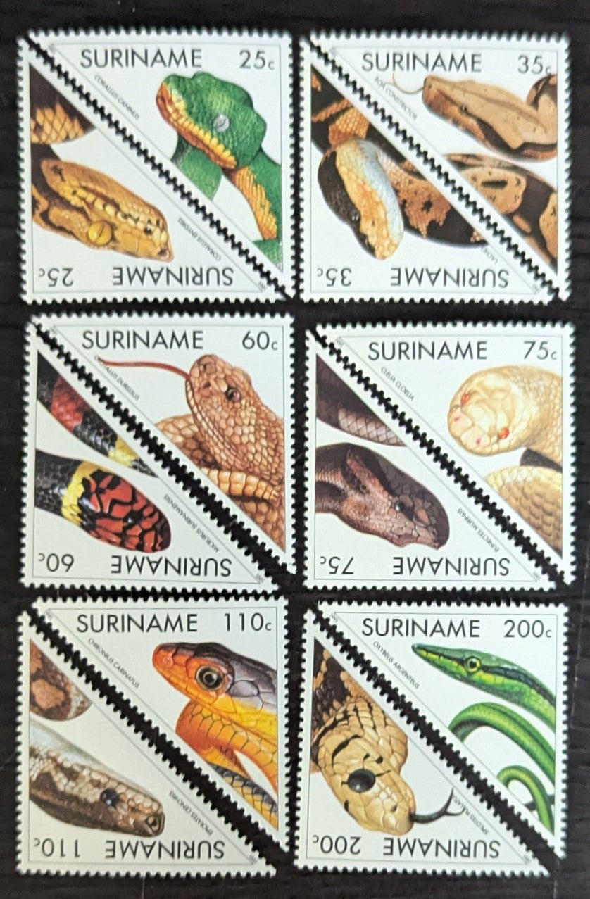 Lot 174 Surinam SC#900-911 1991 Snakes Issue, 12 VFNH Singles, Click on Listing to See ALL Pictures, 2017 Scott Cat. $16