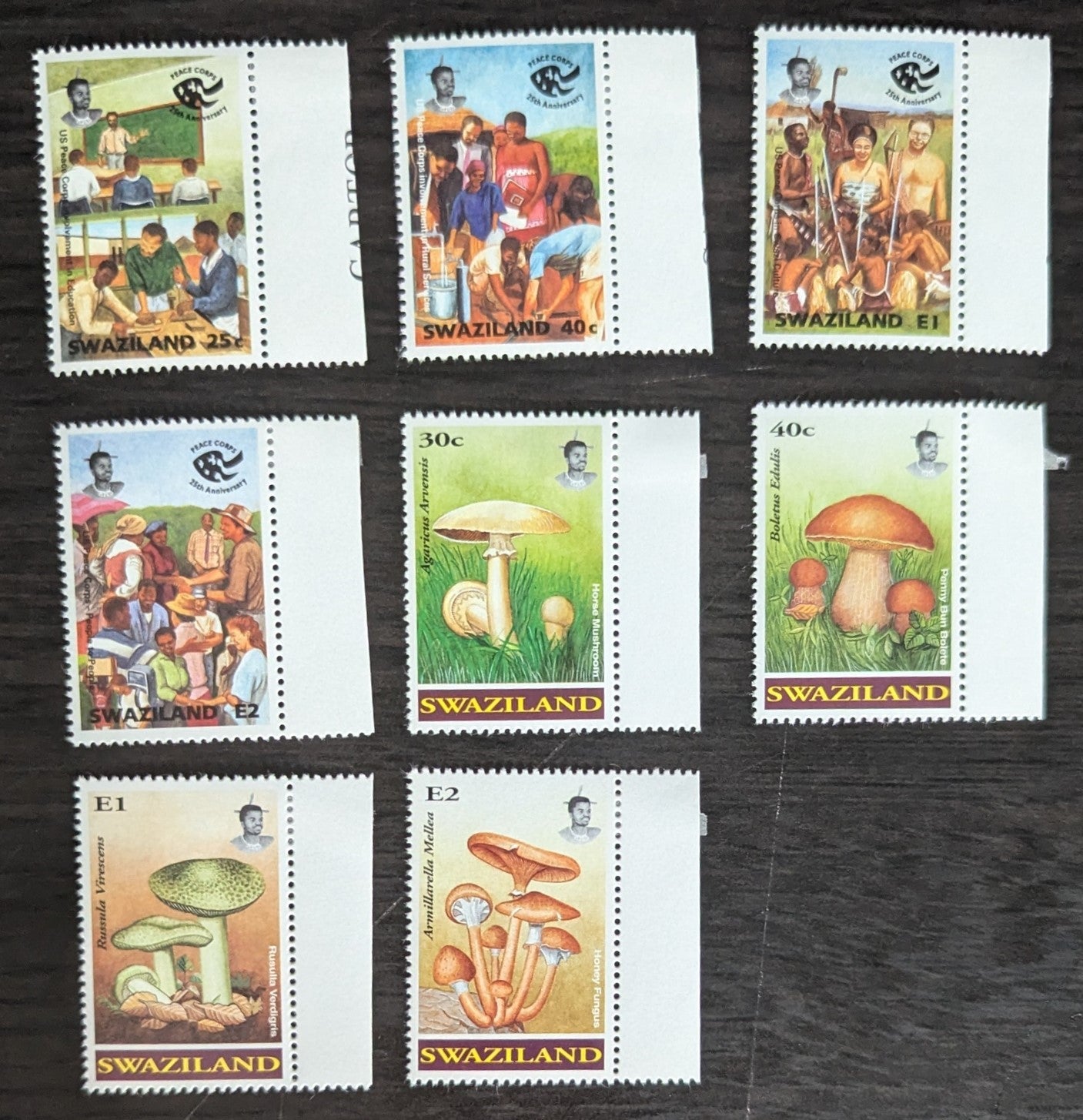 Lot 213 Swaziland SC#628-635 1994 US Peace Corps 25th Anniv - Mushrooms Issue, 8 VFNH Singles, Click on Listing to See ALL Pictures, 2017 Scott Cat. $15