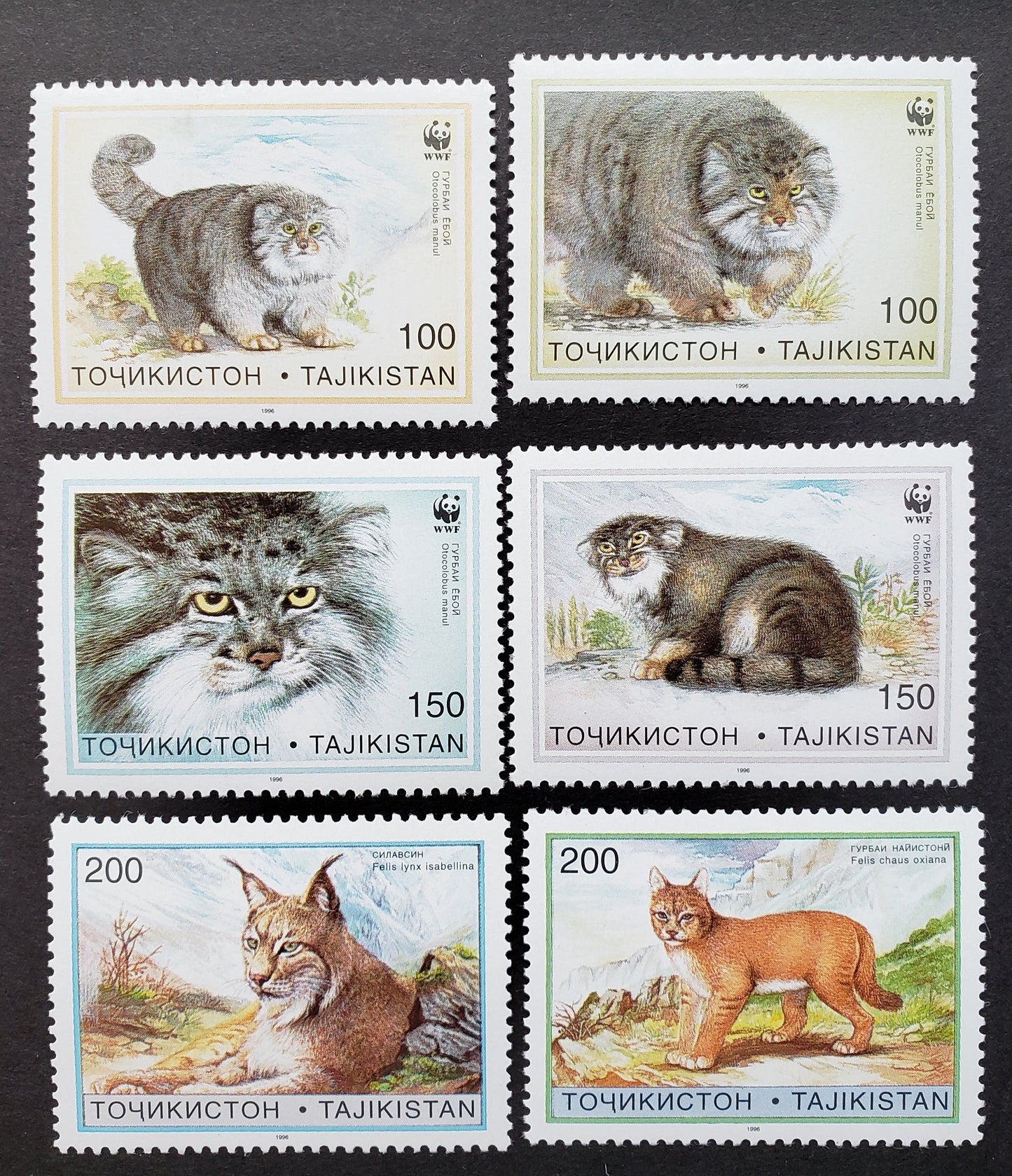 Lot 73 Tajikstan SC#92/97 1996 WWF Issue, 6 VFNH Singles, Click on Listing to See ALL Pictures, 2017 Scott Cat. $12