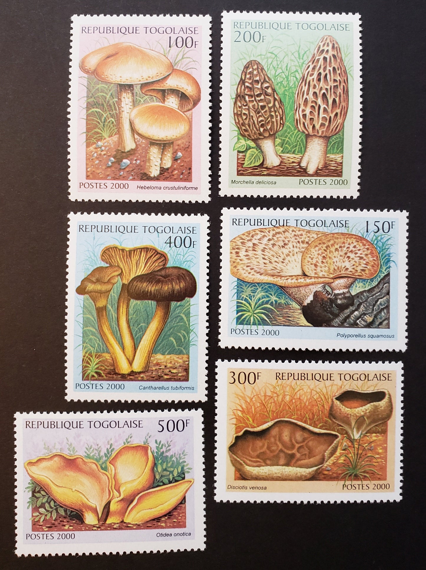 Lot 88 Togo SC#1938A/1938F 2000 Mushrooms Issue, 6 VFNH Singles, Click on Listing to See ALL Pictures, 2017 Scott Cat. $6.25