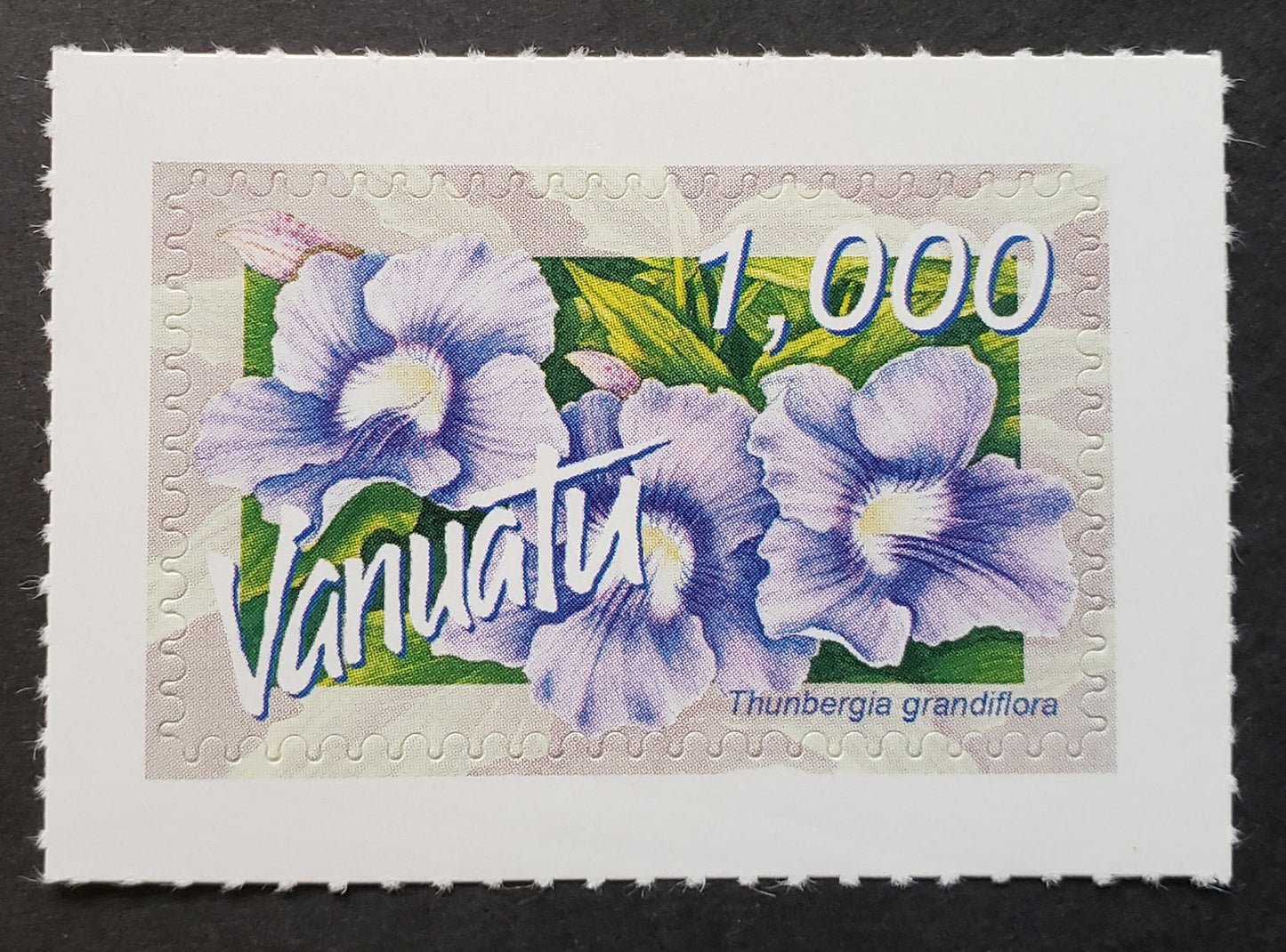 Lot 160 Vanuatu SC#899 1000v 2006 Flowers Issue, A VFNH Single, Click on Listing to See ALL Pictures, 2017 Scott Cat. $12.65