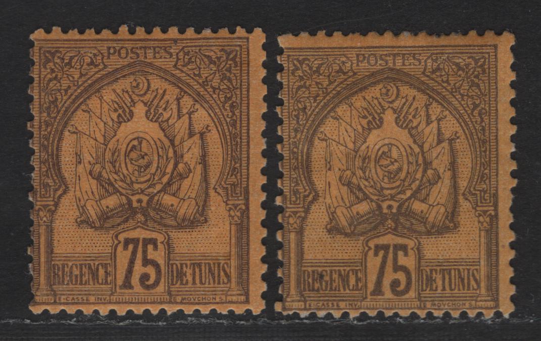 Lot 135 Tunisia SC#23 75c Violet on Orange Coat of Arms, 1888-1902 Arms Issue, 2 VG/FOG Singles