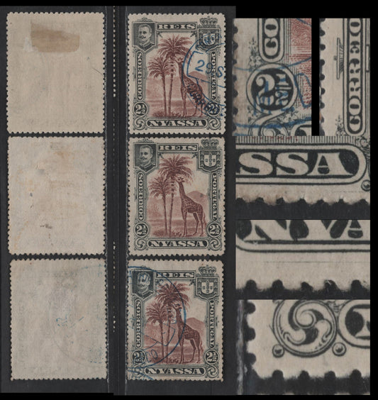 Lot 185 Nyassa SC#26var 2.5r Black & Red Brown Giraffe, 1901 Pictorial Issue, 3 Very Fine Used Singles, Examples Showing Scratches In Margins