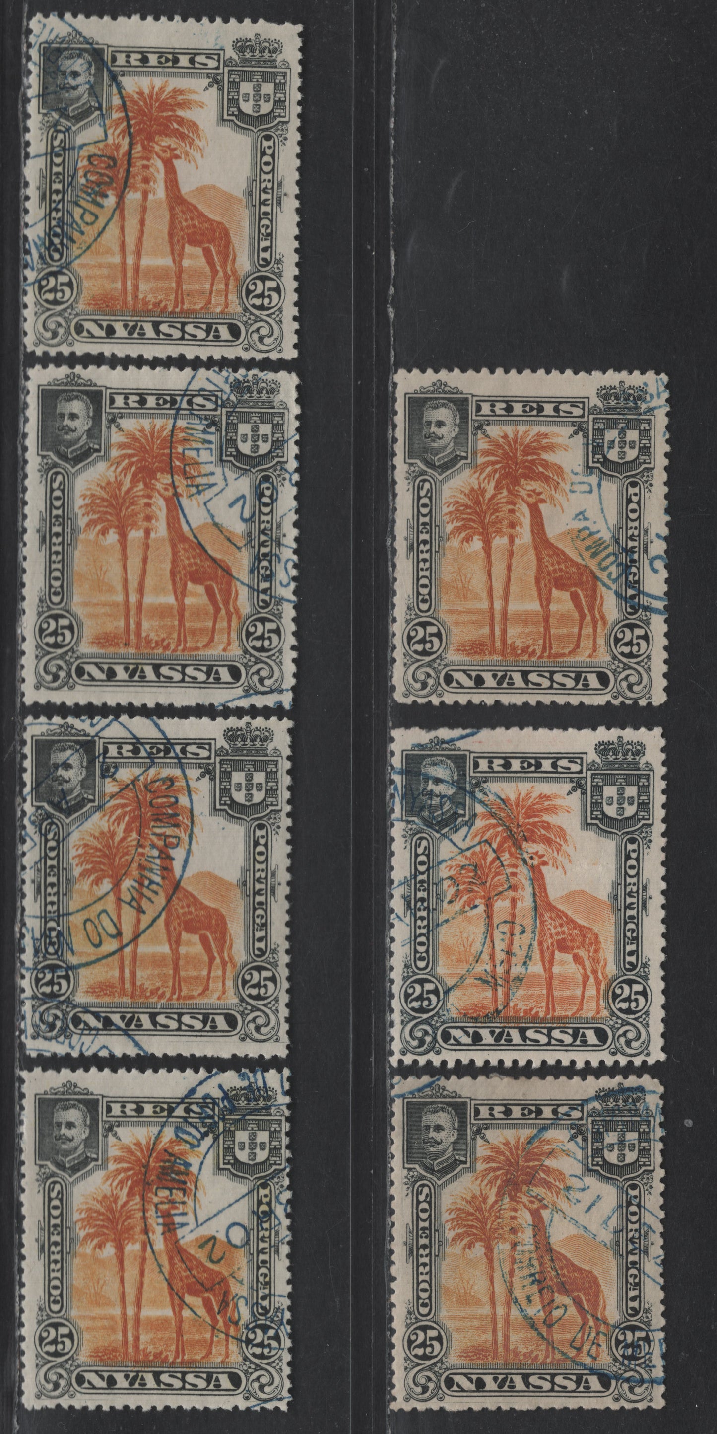 Nyassa SC#31var 25r Black & Orange Giraffe, 1901 Pictorial Issue, 7 Very Fine Used Singles, Perfs 14.5, 14.75, 14.5x14.75, 15x14.75, 14.5x15 & 14.25x14, Includes 2 Shades Of Perf 14.75
