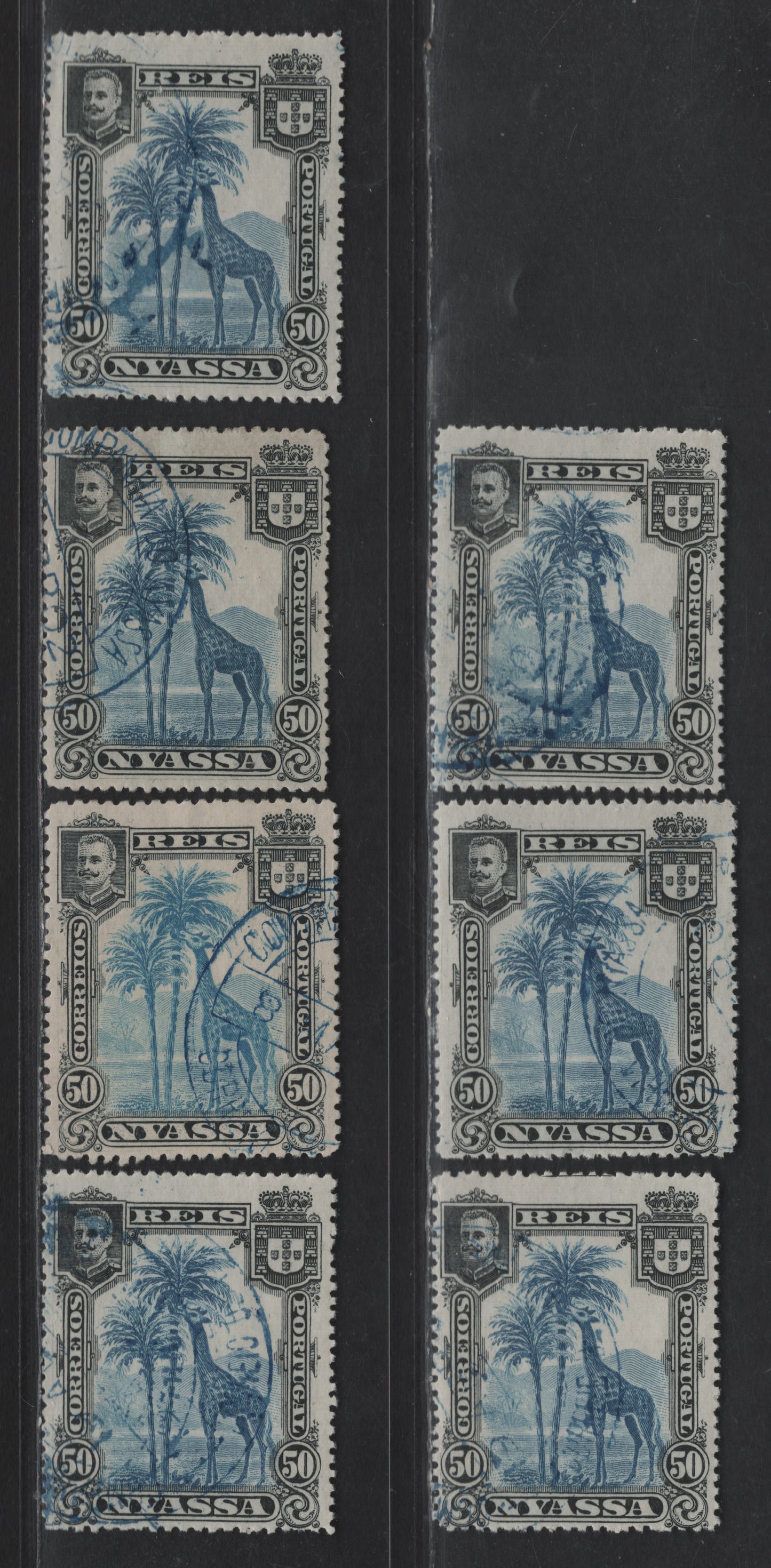 Lot 217 Nyassa SC#32var 50r Black & Dark Blue - Black & Bright Blue Giraffe, 1901 Pictorial Issue, 7 Fine/Very Fine Used Singles, Perfs 14.5x15, 15x14.75, 14.75, 14.5, 13.75, 14.75x14.5 & 14.5x14.75