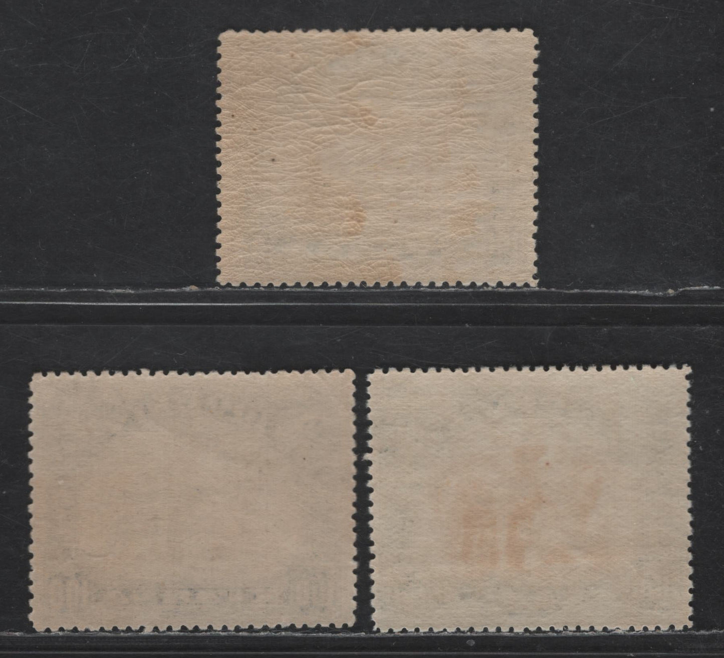 Lot 223 Nyassa SC#35 100r Black & Deep Orange Camel, 1901 Pictorial Issue, 3 VFNH Singles, Perfs 14 & 14.5