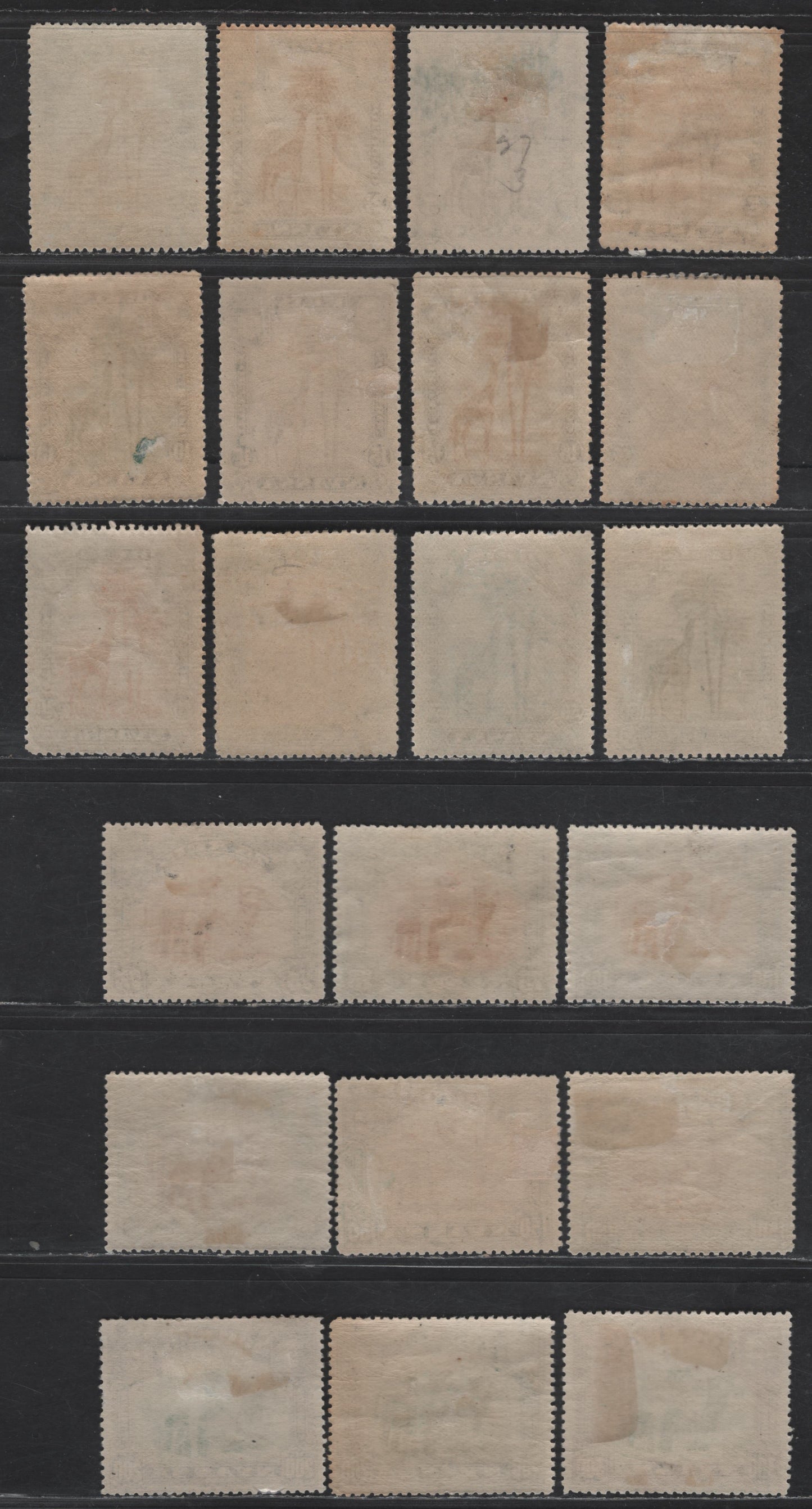 Lot 238 Nyassa SC#26-38 2.5r - 300r Black & Red Brown - Black & Yellow Green Camel, 1901 Pictorial Issue, 13 VFOG Singles, Perf 14