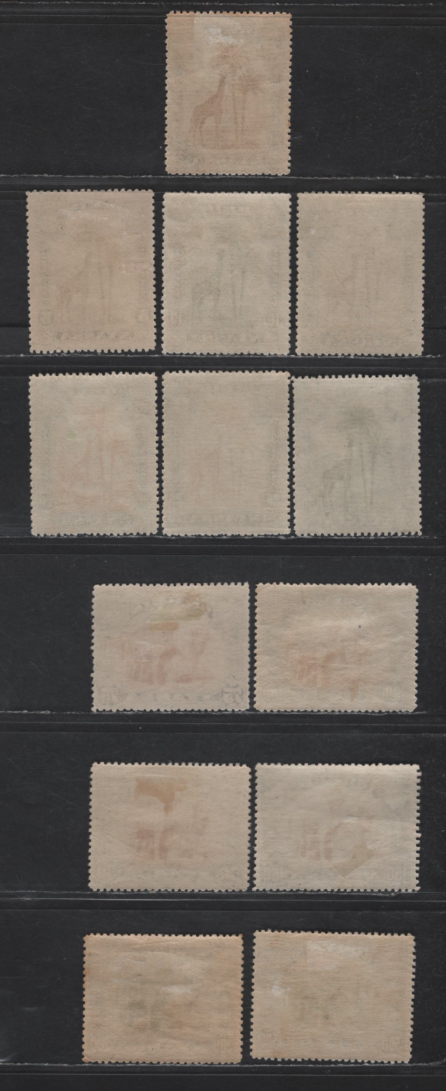 Lot 239 Nyassa SC#26-38 2.5r - 300r Black & Red Brown - Black & Yellow Green Camel, 1901 Pictorial Issue, 13 VFOG Singles, Basic Set, Shade Variations