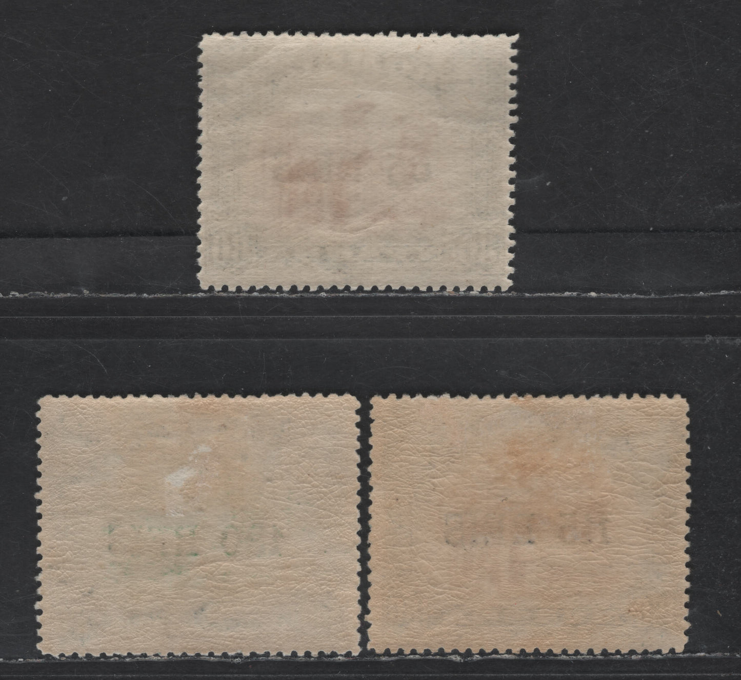 Lot 244 Nyassa SC#39-41 65r on 80r - 300r Black & Lilac - Black & Yellow Green Camel, 1903 Surcharged Issue, 3 VFOG Singles, Perf 14