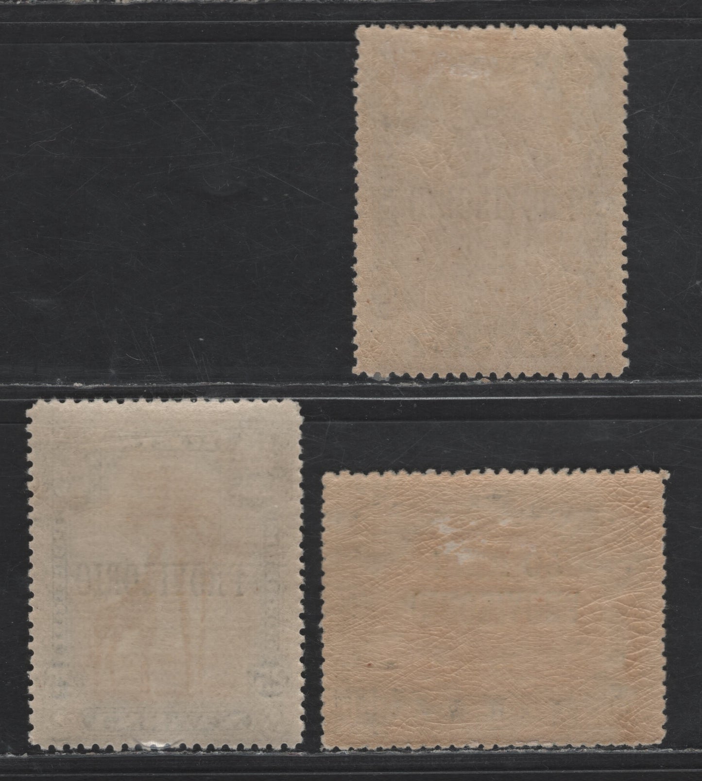 Lot 254 Nyassa SC#42-43, 50 15r - 50r on 100r Black & Orange - Black & Brown Bistre Camels, 1903-1910 Provisorio Overprinted Issue, 4 VFOG Singles