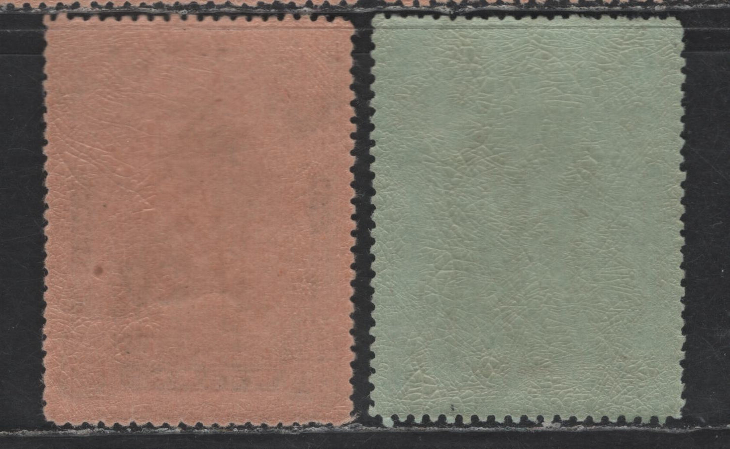 Lot 270 Nyassa SC#91, 93 10c on 100r - 20c on 200r Black & Brown - Black & Deep Green on Salmon Giraffes, 1921 Lisbon Surcharged Pictorial Issue, 2 VFNH Singles, Perf 14