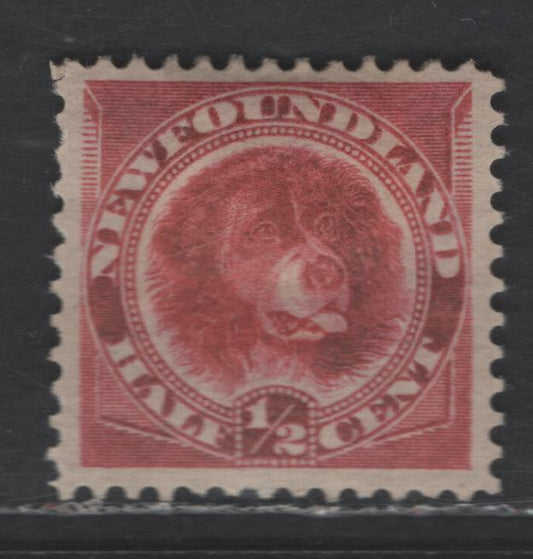 Lot 21 Newfoundland #56a 1/2c Deep Rose Red Newfoundland Dog, 1887-1898 5th Cents Issue, A VFOG Single, Stout Horizontal Wove Paper