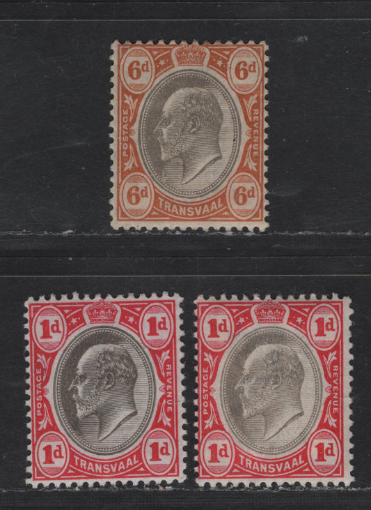Lot 373 (C) Transvaal SG#245, 250 1d Grey & Carmine, 6d Grey & Orange Brown, 1902-1903 King Edward VII Wmk Crown CA Issue, 3 F & VF OG Singles