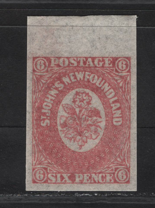 Lot 109 Newfoundland SC#20 6d Rose Heraldic Flowers, 1861-1862 3rd Pence Issue, A EFNH Imperf Single