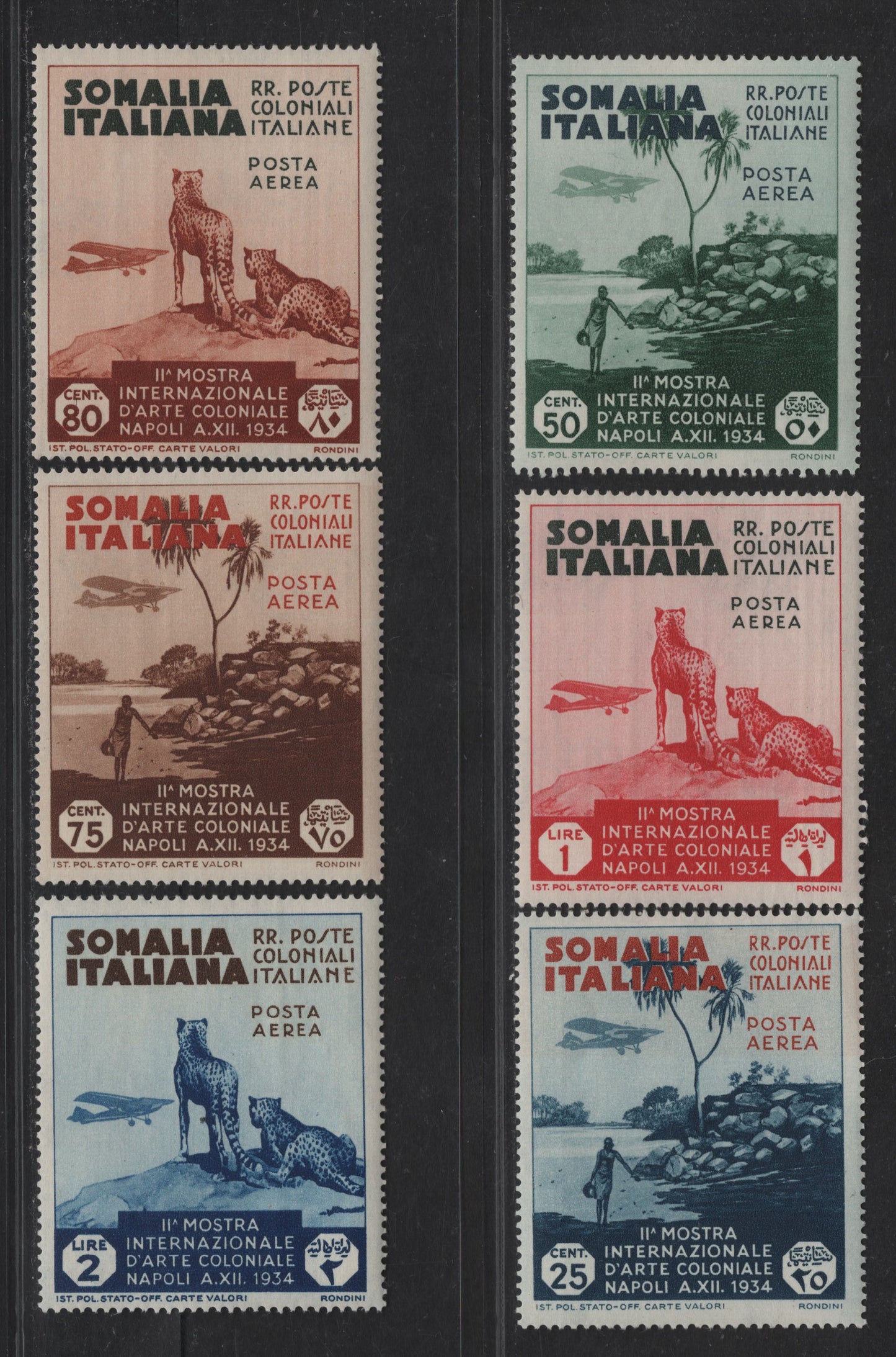 Lot 42 Somalia SC#C1-C6 25c - 2l Slate Blue & Red Orange - Dark Blue & Brown Cheetas, 1934 Air Post Issue, 6 VFOG Singles