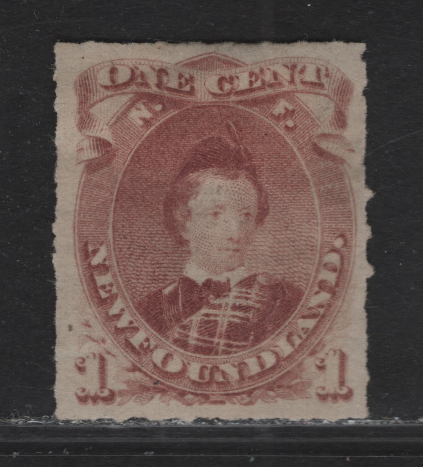 Lot 22 (C) Newfoundland #37 1c Brown Lilac Edward, Prince of Wales, 1876-1879 3rd Cents Issue, A Very Fine Unused Rouletted Single, Paper Cents-FF