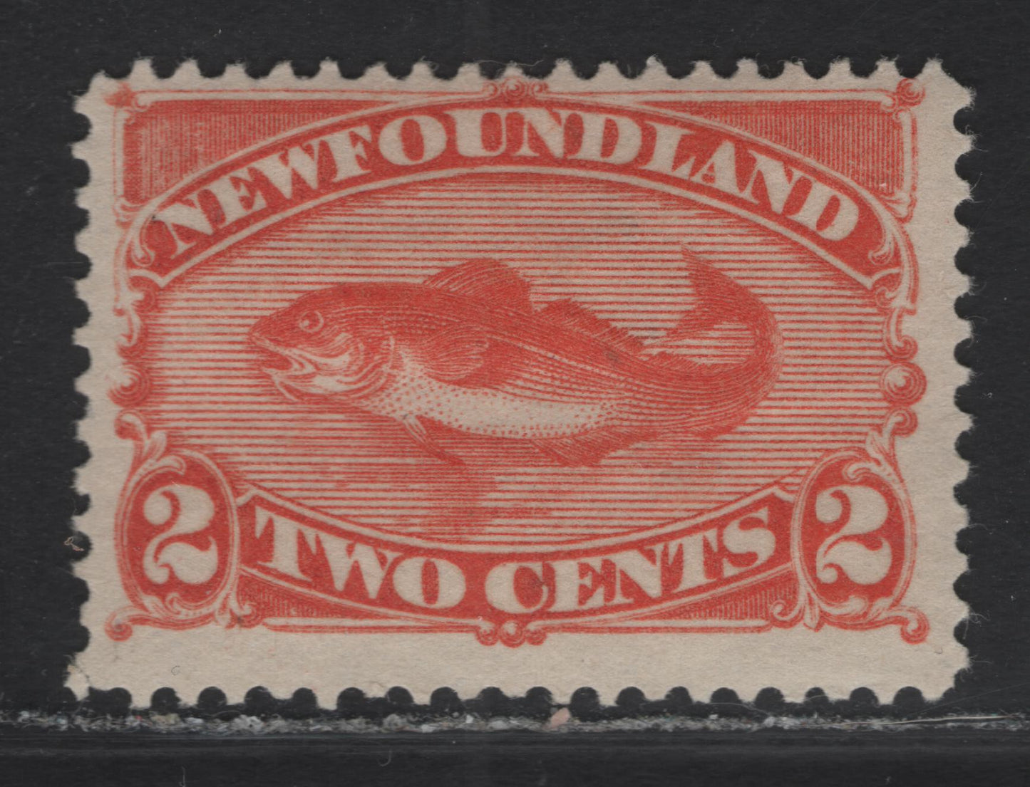 Lot 34 (C) Newfoundland #48 2c Red Orange Codfish, 1880-1896 4th Cents Issue, A FOG Single, Paper Cents-LL, Perf 12