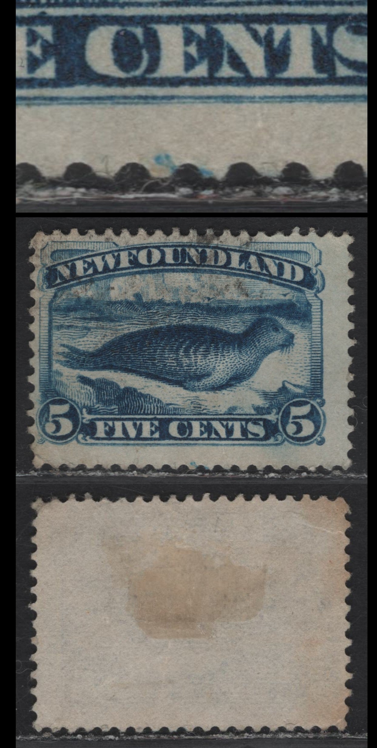 Lot 42 (C) Newfoundland #54var 5c Dark Blue Harp Seal, 1880-1896 4th Cents Issue, A Very Good Used Single, Paper Cents-NN, Perf 12x12.1, Showing Large Burrs In Lower Margin Below CE of Cents, Vertical Diagonal Crease Not Obvious From Front.