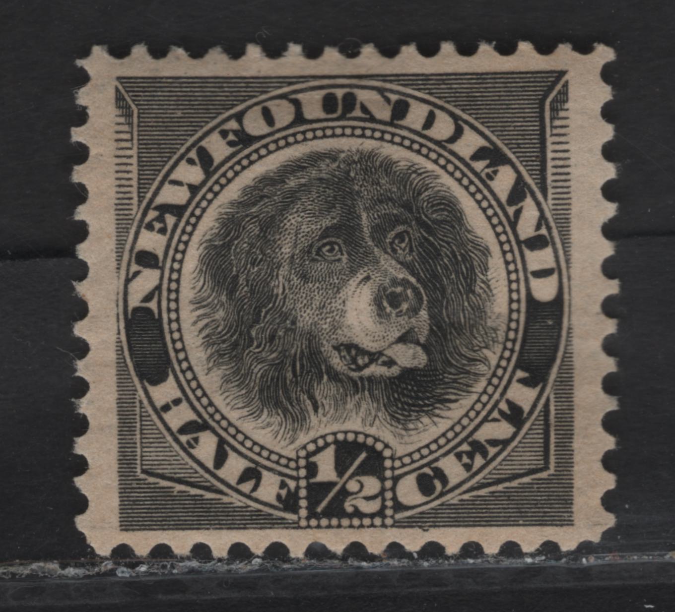 Lot 45 (C) Newfoundland #58var 1/2c Black (C) Newfoundland Dog, 1887-1898 5th Cents Issue, A FOG Single, Engravers Slip Below C of "Cents" & Re-Entry Above 'AND', Paper Cents-QQ, Small Hint of Thinning Along Some Perf Tips At Lower Right.