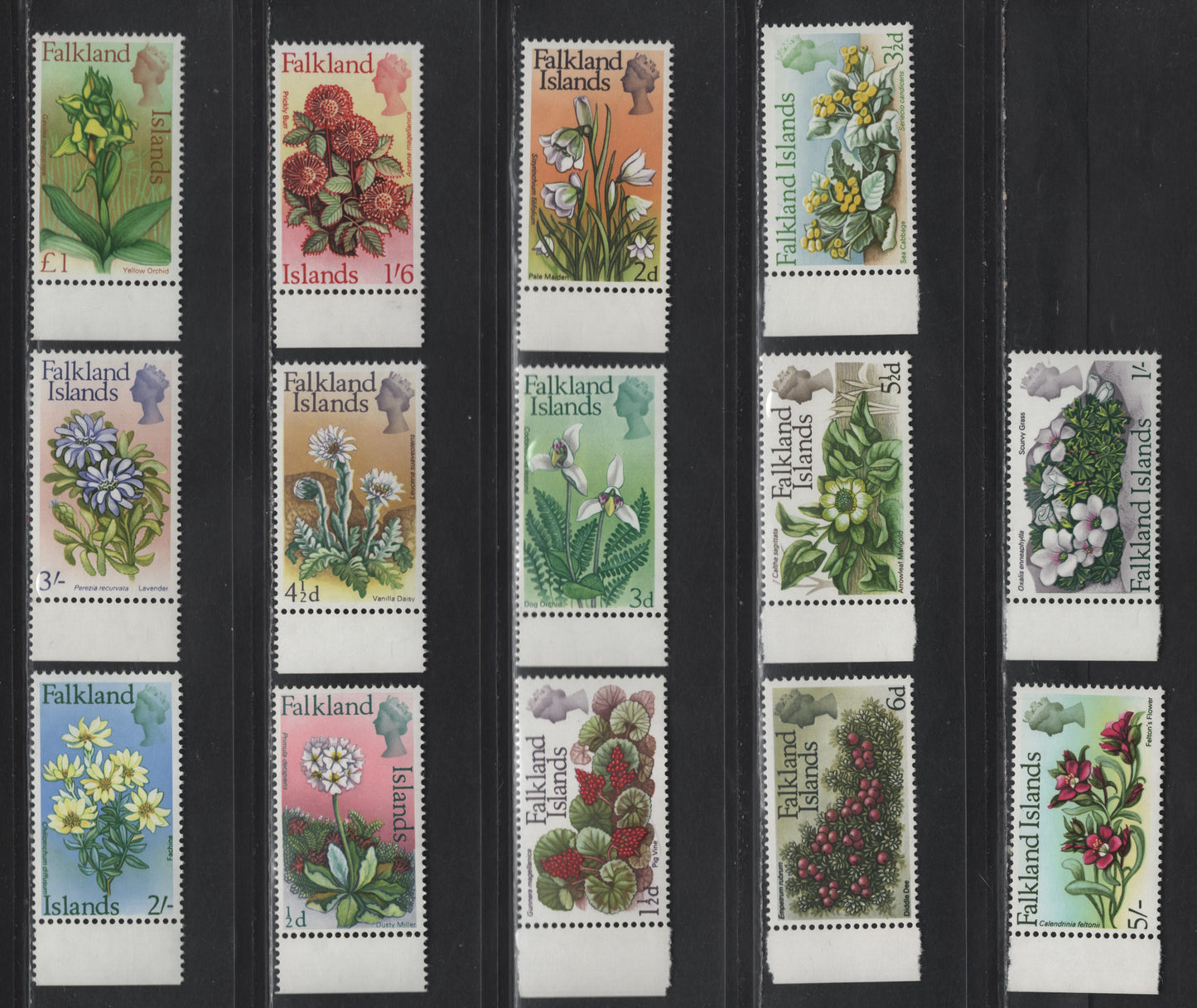 Lot 250 Falkland Islands (C) SG#232-245 1/2d - £1 Multi Coloured, 1968 Flower Definitives, 14 VFNH Singles