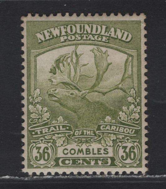 Lot 143 Newfoundland #126 36c Olive Green, 1919-1923 Trail Of The Caribou Issue, A VFOG Single On Paper WM-F, Comb Perf 14.25x14