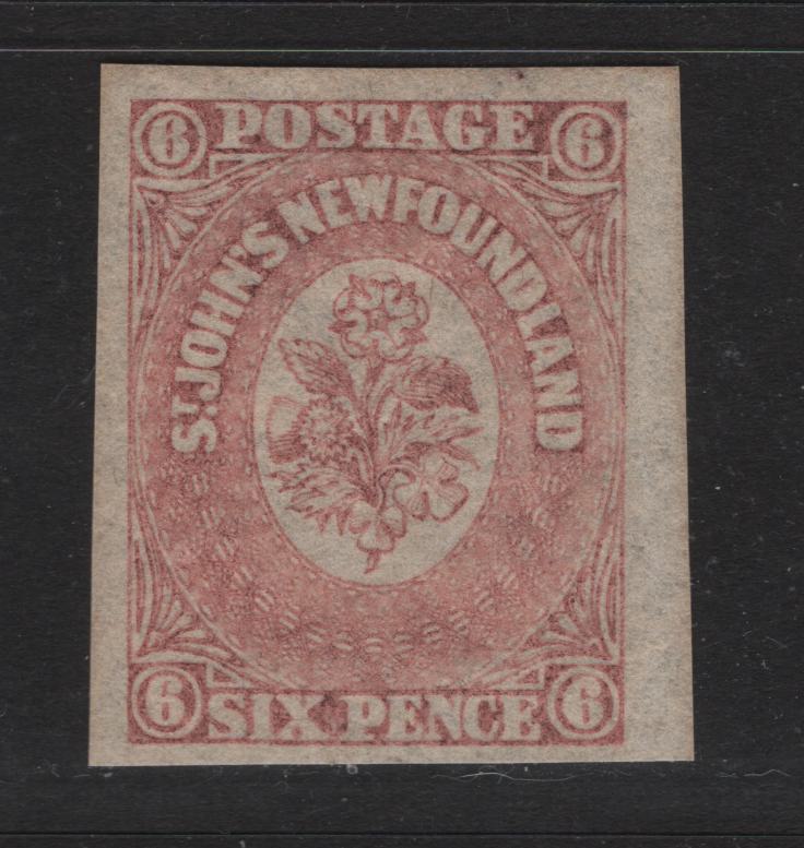 Lot 37 Newfoundland #20 6d Rose, 1861-1862 Pence Issue, A VFOG Single On Translucent Wove paper