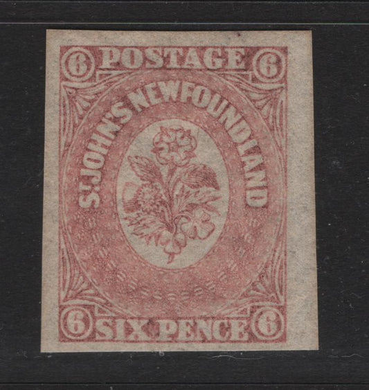 Lot 37 Newfoundland #20 6d Rose, 1861-1862 Pence Issue, A VFOG Single On Translucent Wove paper