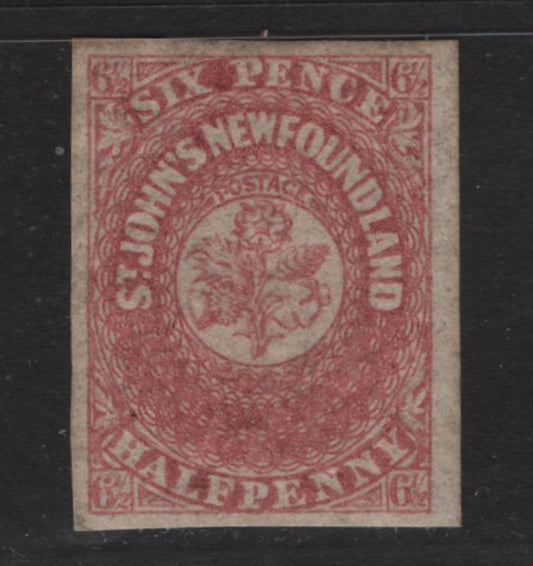 Lot 38 Newfoundland #21 6 1/2d Rose, 1861-1862 Pence Issue, A VFOG Single On Crisp Translucent Wove Paper