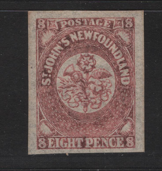Lot 39 Newfoundland #22 8d Rose, 1861-1862 Pence Issue, A VFOG Single On Crisp Translucent Wove Paper