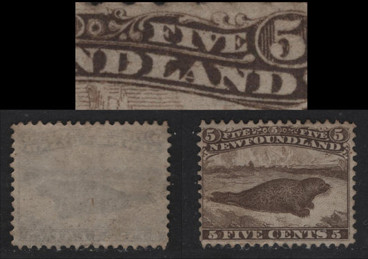 Lot 44 Newfoundland #25 3c Brown, 1865-1894 First Cents Issue, A FRG Single On Paper Cents-V, Perf 12. From Position 6, Showing Minor Re-Entry With Small Marks In "D Land"