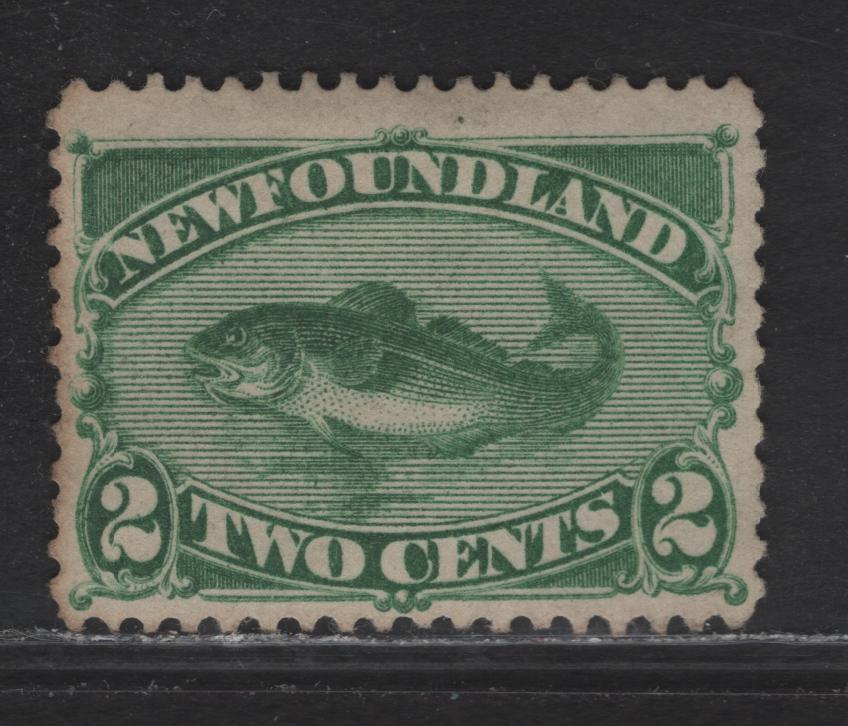 Lot 78 Newfoundland #47 2c Green, 1880-1896 Third Cents Issue, A FUN Single On Cents-BB, Perf 12.25x12