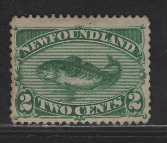 Lot 78 Newfoundland #47 2c Green, 1880-1896 Third Cents Issue, A FUN Single On Cents-BB, Perf 12.25x12