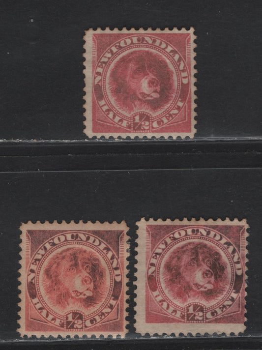 Lot 88 Newfoundland #56 1/2c Rose Red, 1887-1897 Queen Victoria Definitive Issue, 3 VG&F OG Singles On Papers Cents-II, Cents-SS, Perf 12.1x12, 12