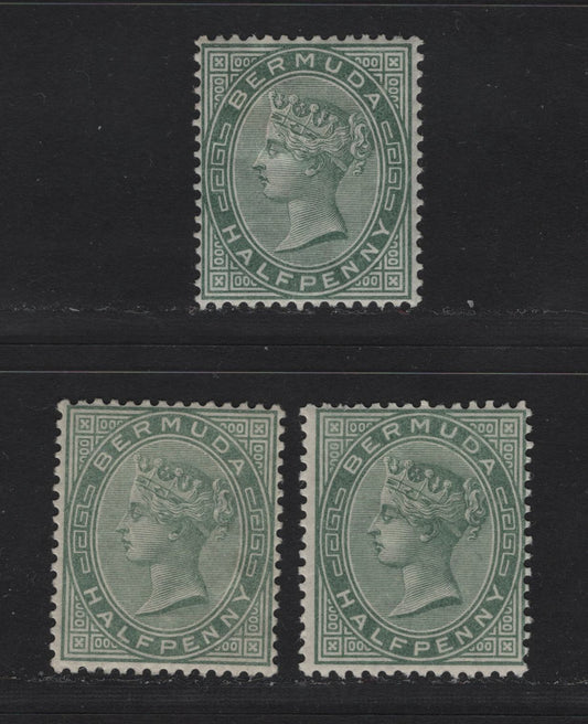 Lot 15 Bermuda SG#21,21a 1/2d Dull Green & 1/2d Deep Grey Green, 1883-1904 Queen Victoria Keyplates Issue, Wmk Crown CA, 3 F&VF OG Singles Two Shades