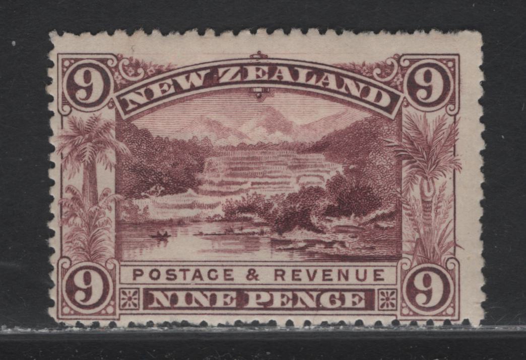 Lot 221 New Zealand (C)  SG#256 9d Purple , 1898 Waterlow Pictorial Issue, A VGOG Single, Unwatermarked, Perf 12-16