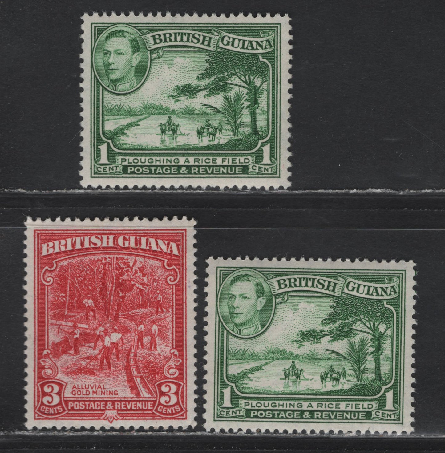 Lot 295 British Guiana SG#290b, 308b 1c - 3c Green - Scarlet , 1938-1952 KGVI Pictorial Issue, 3 VFNH/OG Singles, 1949-1950 Printings, Perfs 13x14 & 14x13 On Opaque Paper, Partially Visible Wmk.