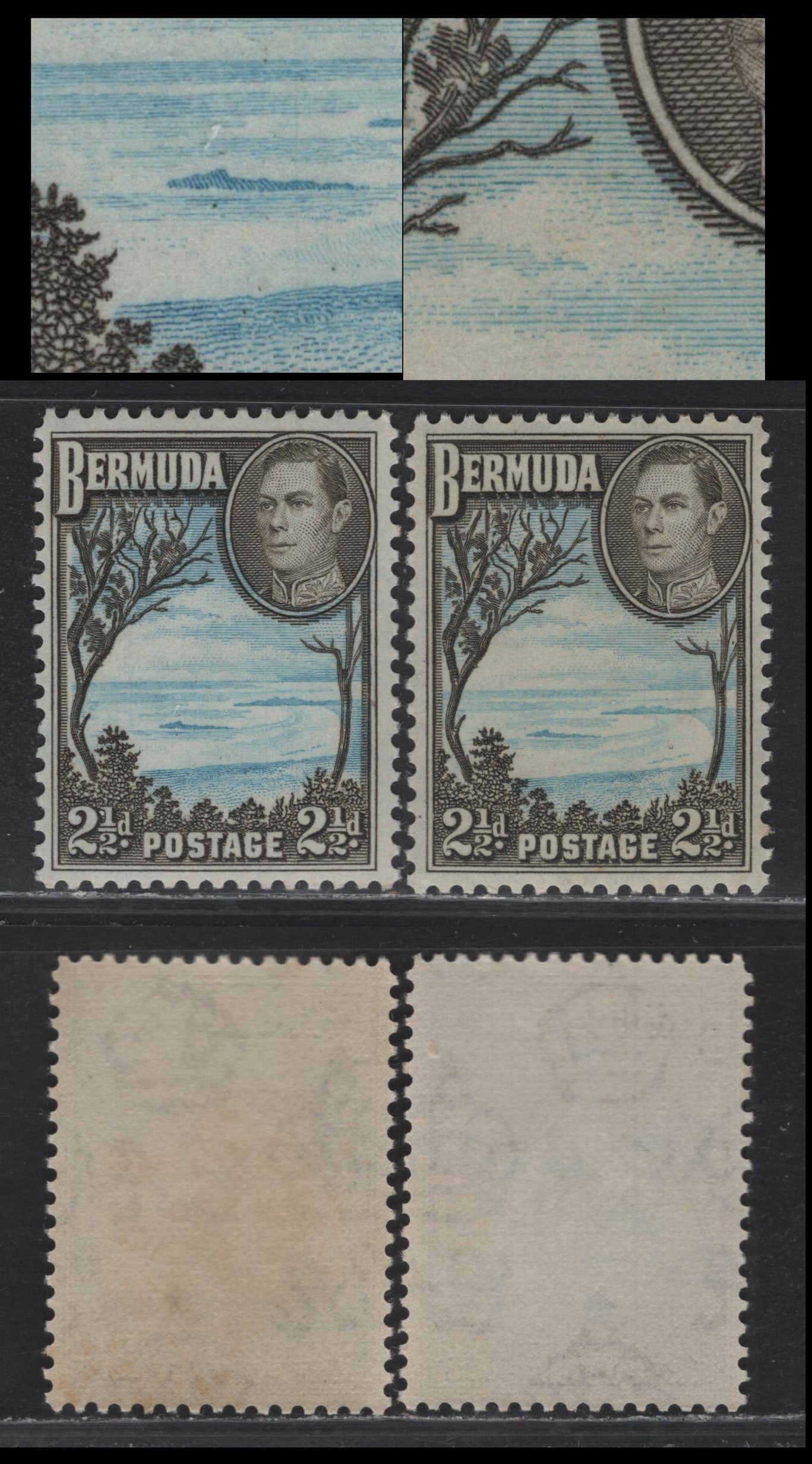 Lot 247 Bermuda SG#113cvar 2.5d Light, Bright Blue & Deep Olive Sepia - Light Bright Blue & Deep Olive Brown , 1936-1952 KGVI Pictorial Issue, 2 VFNH Singles, 1950-51 Comb Perf Printings, Translucent Paper With Barely Visible/Visible Wmks & Varieties